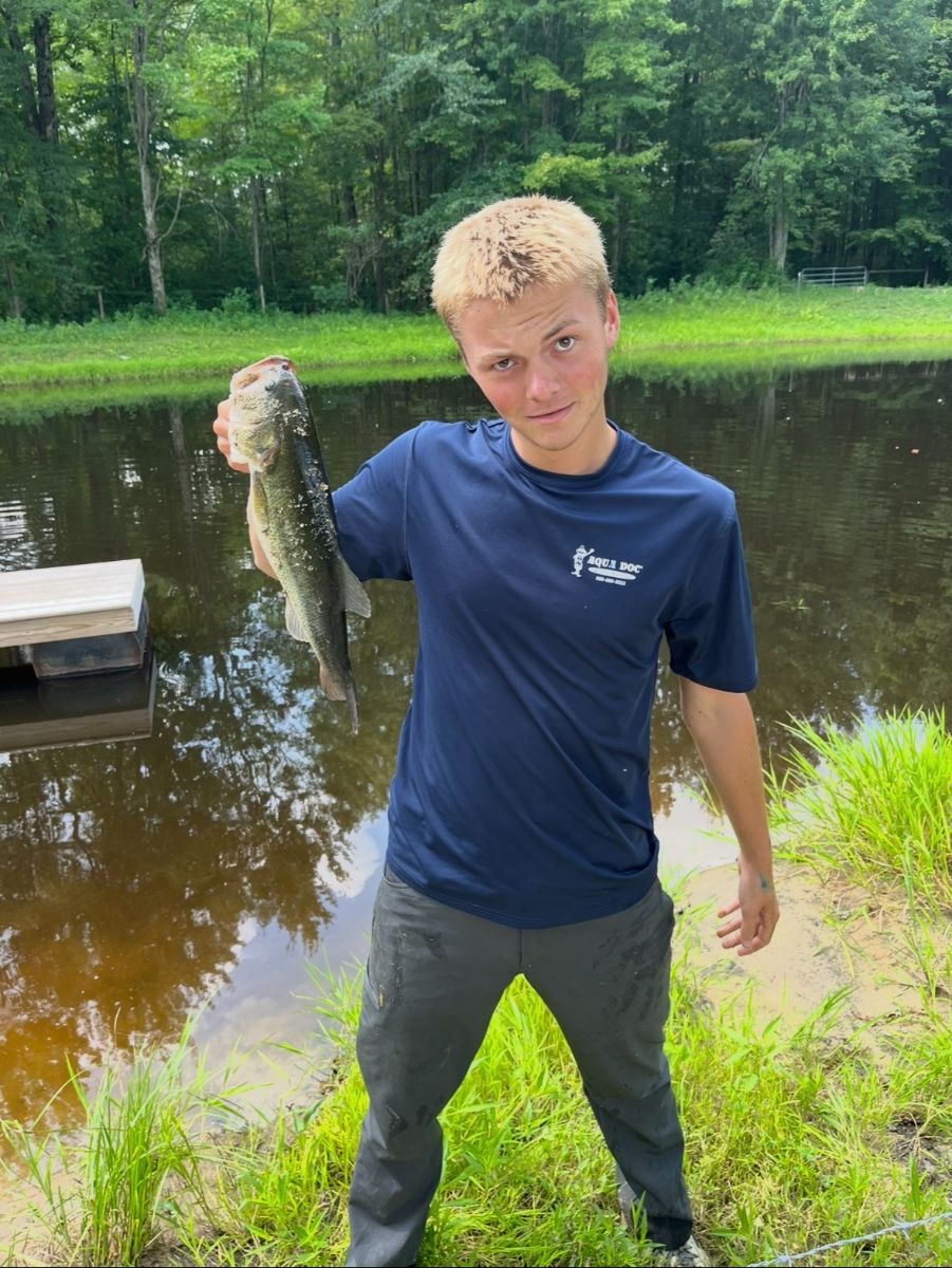 Jack Murray